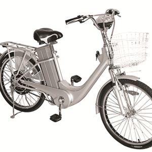 Ztech E-bike