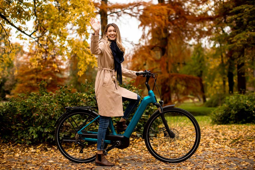 Ztech E-bike